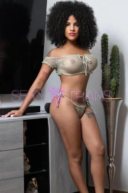 TS Angie Dominikanische  Angie Schweiz, Basel, Basel und Umgebung