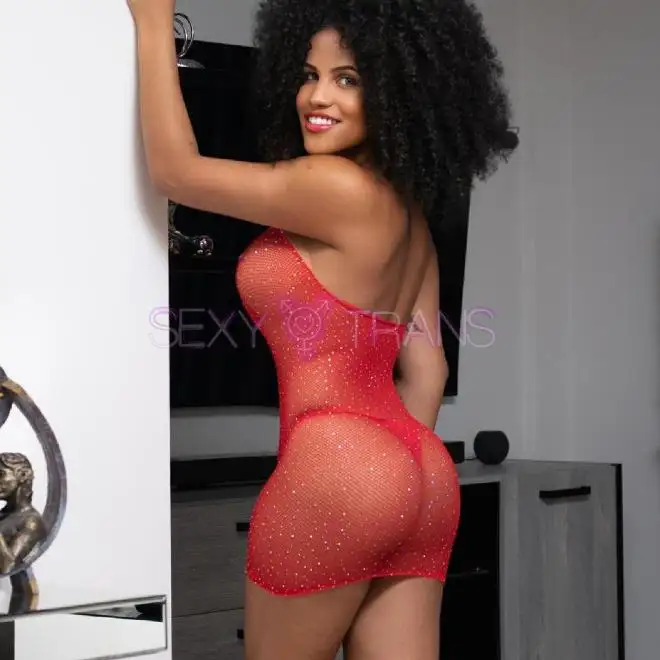 TS Angie Dominikanische  Angie Schweiz, Basel, Basel und Umgebung