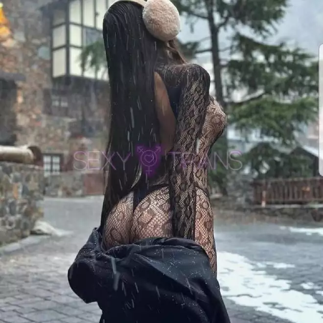 TS Pamela Pamela Young Schweiz, Zug, Zug, Luzern