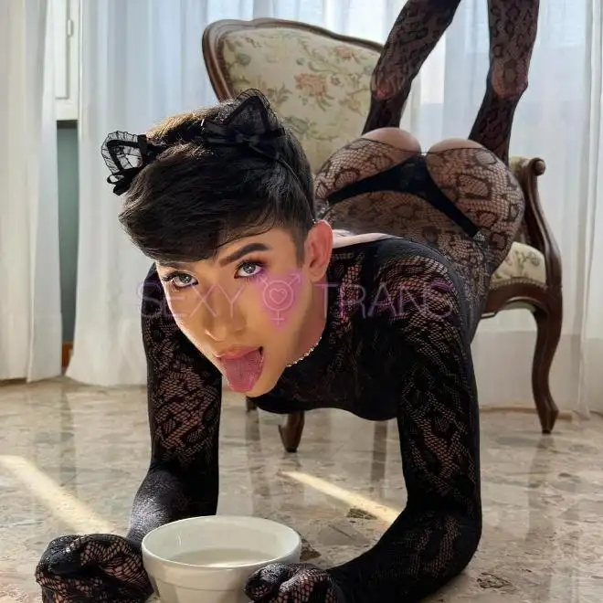 TV Femboy Femboy portugal brasil Schweiz, Italien, Tessin, Como