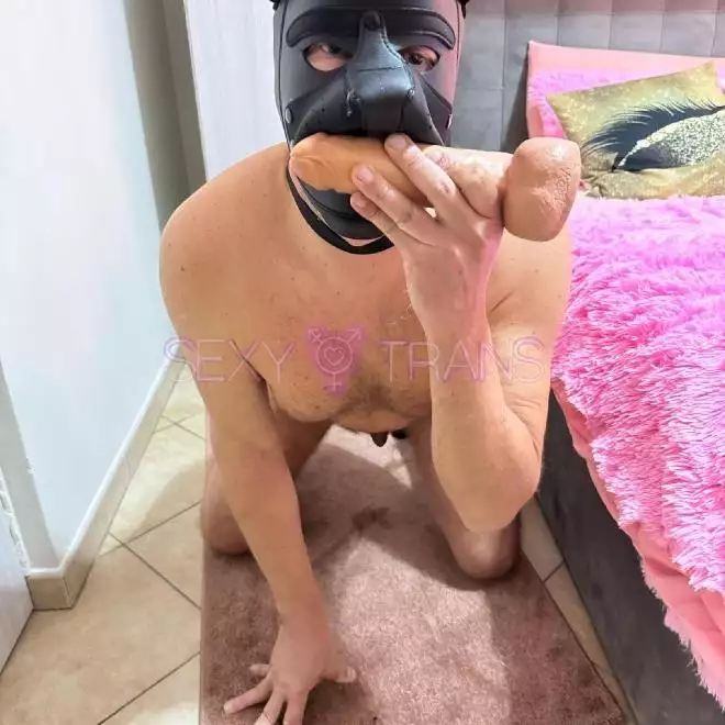 TS Luana Baldrini Hot Brasiltrans Schweiz, Oensingen, Solothurn