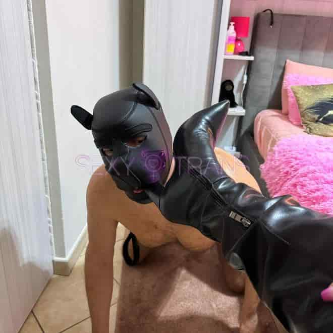 TS Luana Baldrini Hot Brasiltrans Schweiz, Oensingen, Solothurn