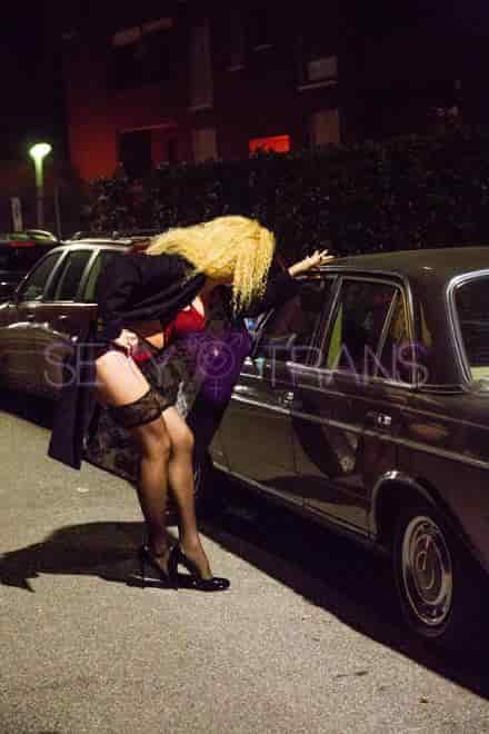 TS Bianca Heibiny XXL Active Trans Bianca Thurgau, Schweiz, St.Gallen, Schaffhausen, St. Margrethen SG