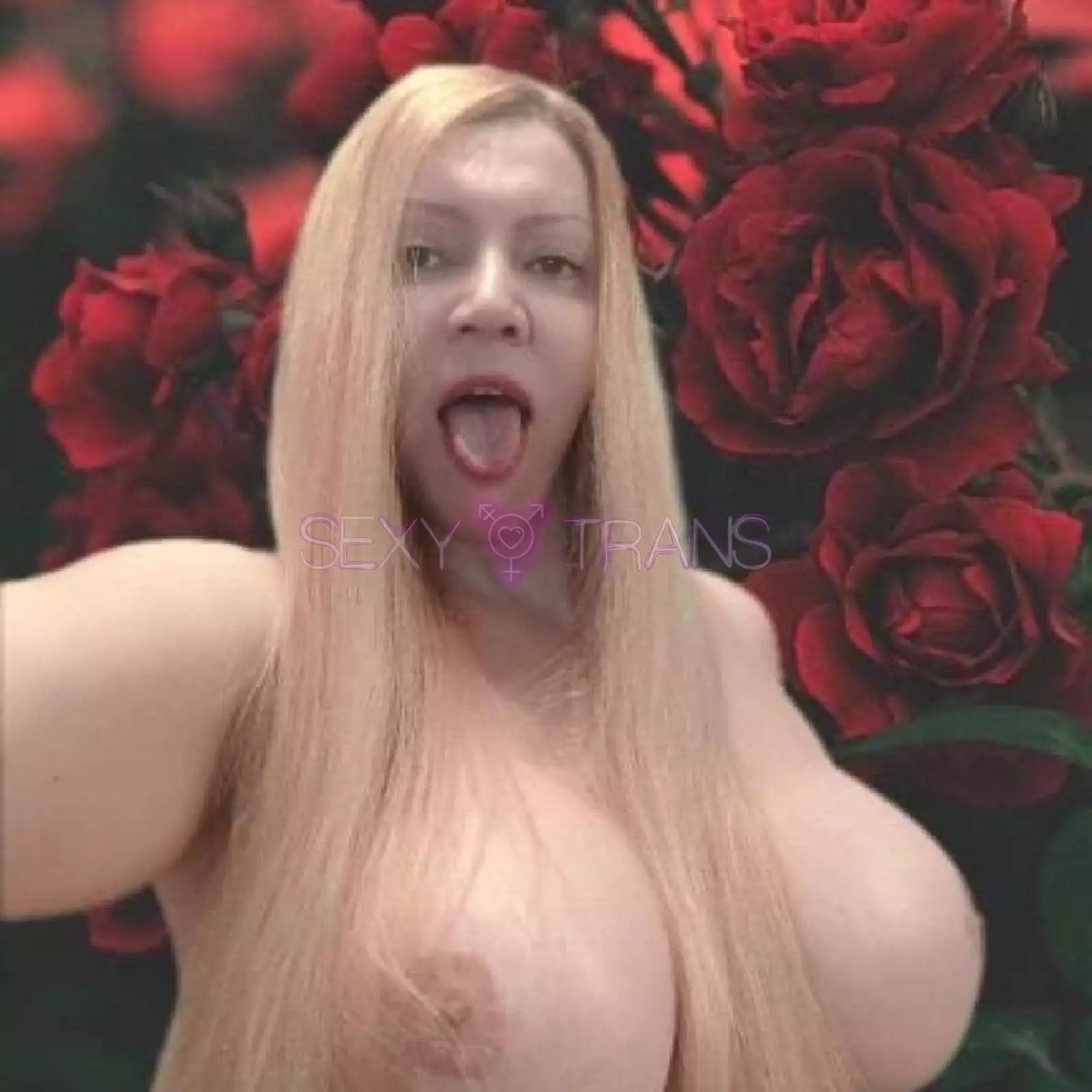 TS Tamara Nr.1 in Schweiz Ts Tamara Schweiz, Zürich Stadt, Zürich