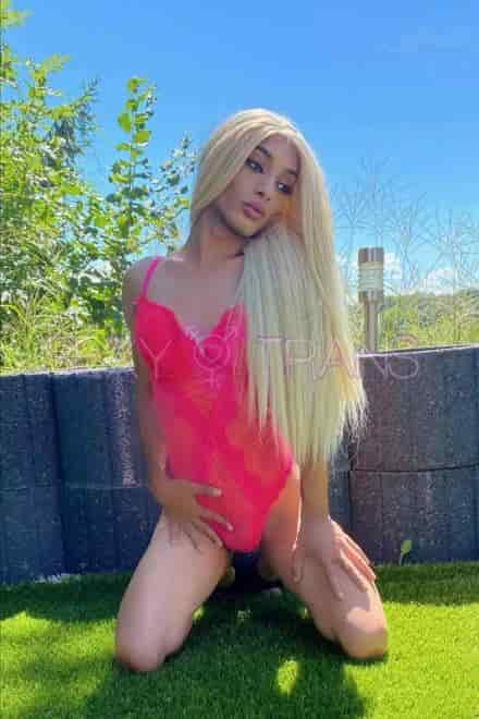 TS Leila Ungarische Ts Ninna Luzern, Schweiz, Luzern