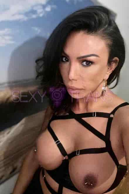 TS Angelina Brazil Angi Brazil St. Gallen, Schweiz, St.Gallen