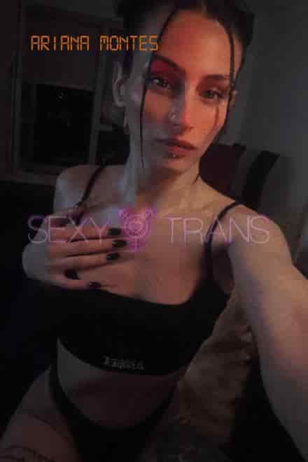 TS Ari Montes Sweet Ari Montes Schweiz, Z&uuml;rich Stadt, Z&uuml;rich