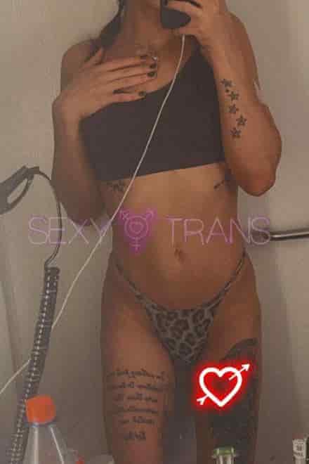 TS Ari Montes Sweet Ari Montes Schweiz, Z&uuml;rich Stadt, Z&uuml;rich