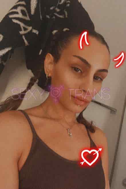 TS Ari Montes Sweet Ari Montes Schweiz, Z&uuml;rich Stadt, Z&uuml;rich