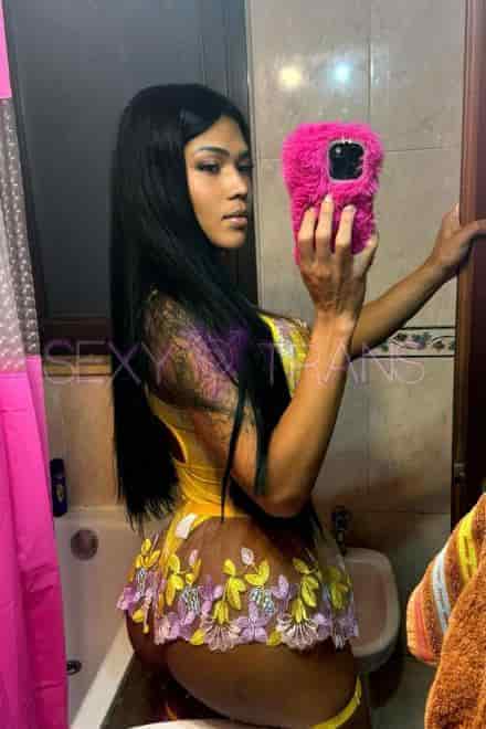 TS India India Schweiz, Italien, Tessin, Como