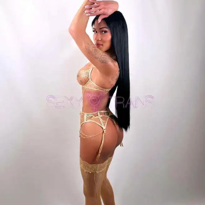 TS India India Schweiz, Italien, Tessin, Como