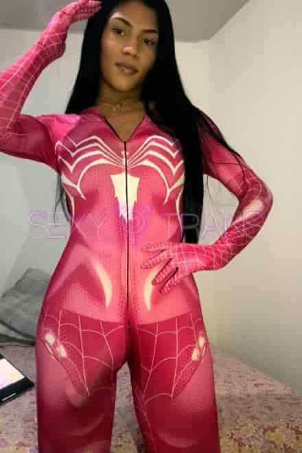 TS India India Schweiz, Italien, Tessin, Como