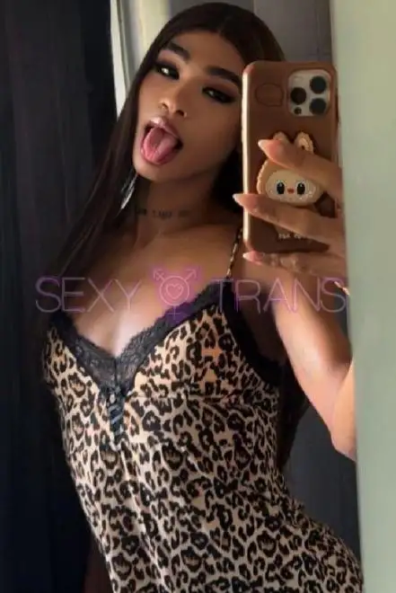 TV Evelin TV Evelin Schweiz, Z&uuml;rich Stadt, Z&uuml;rich