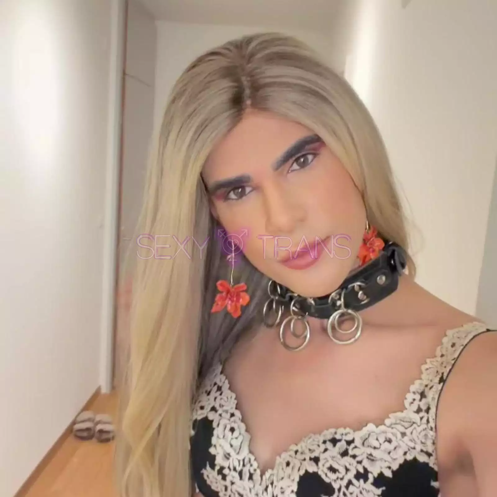 TV Bella Ts coucou Bella Schweiz, Genf, Genf